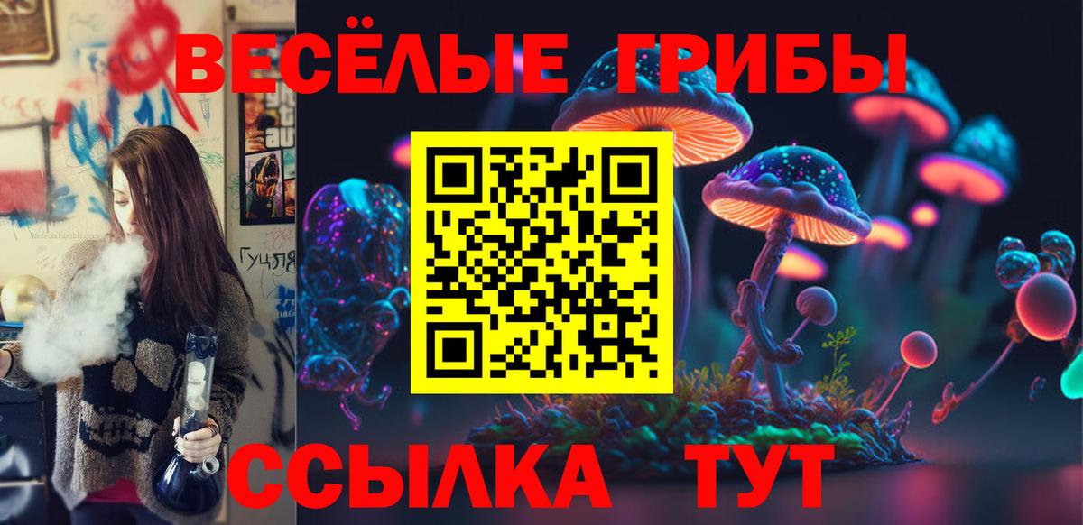Полысаево  Галлюциногенные грибы мицелий  Псилоцибиновые грибы прущие грибы  Вход с VPN 