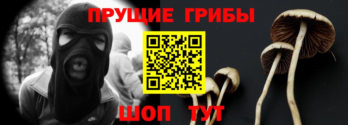 Галлюциногенные грибы MAGIC MUSHROOMS Полысаево